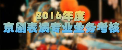 污黄片免费观看国家京剧院2016年度京剧表演专业业务考...